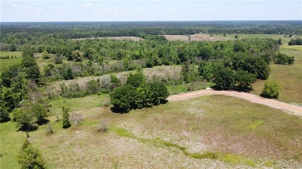 Lot F-1 Core Place, Amite, Louisiana image 6