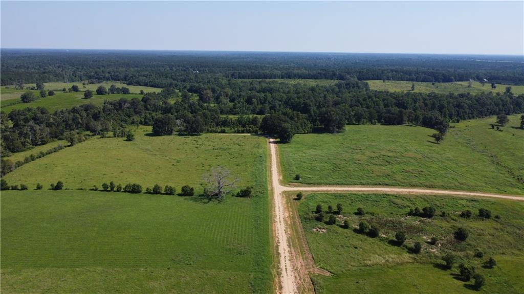 Lot F-2 Core Place, Amite, Louisiana image 2