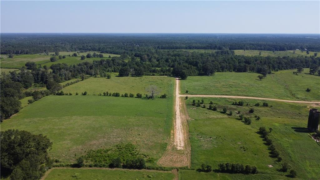 Lot E-3 Core Place, Amite, Louisiana image 1