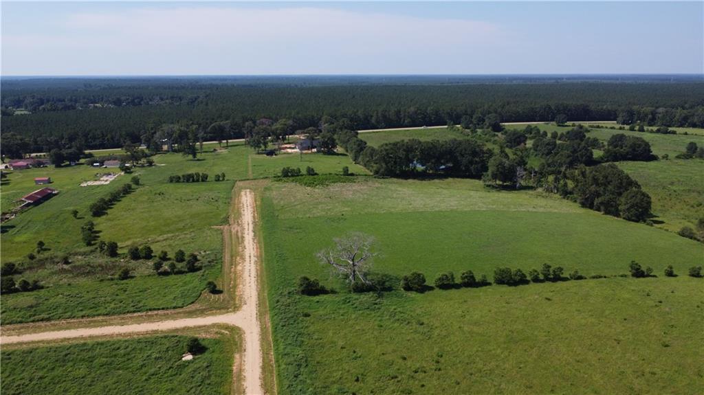 Lot E-3 Core Place, Amite, Louisiana image 2