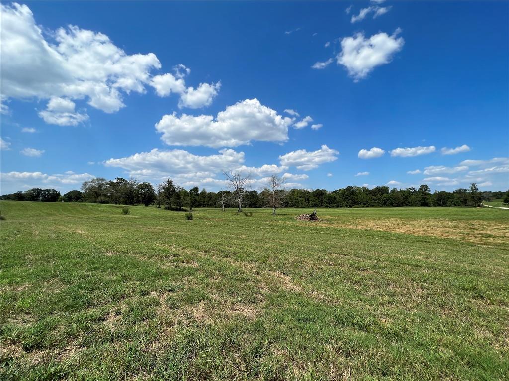 Lot F-4 Gloria Road, Amite, Louisiana image 1