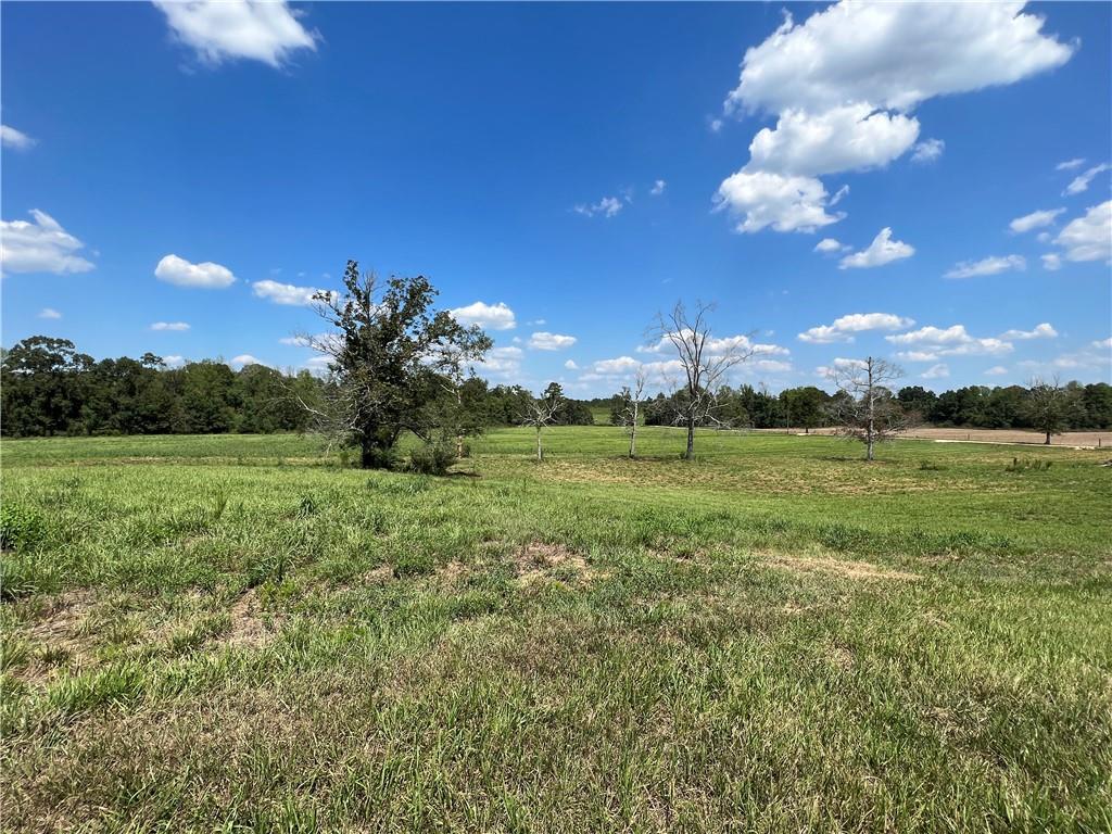 Lot F-4 Gloria Road, Amite, Louisiana image 6