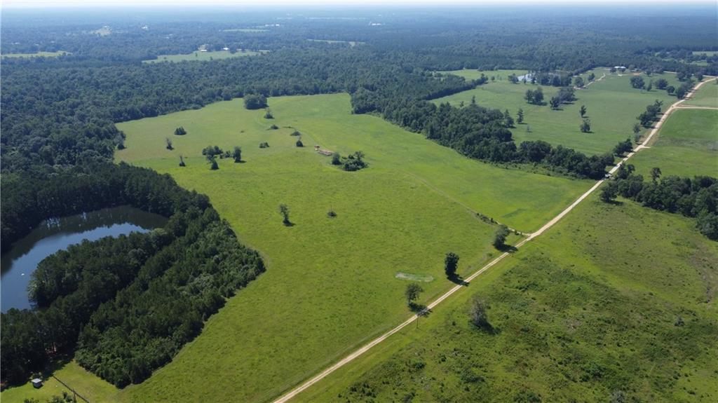 198 Acres Gloria Road, Amite, Louisiana image 2