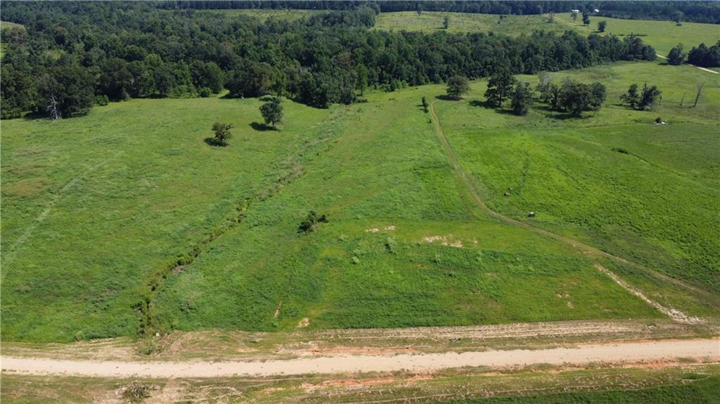 Lot D-1 Kippy Lane, Amite, Louisiana image 2