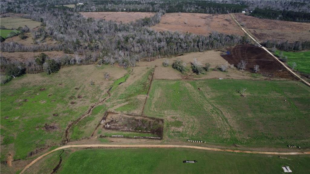 Lot D-2 Kippy Lane, Amite, Louisiana image 3