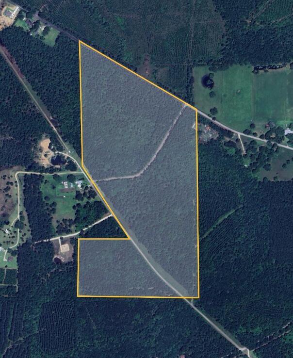 W Moran Road, Pearl River, Louisiana image 1