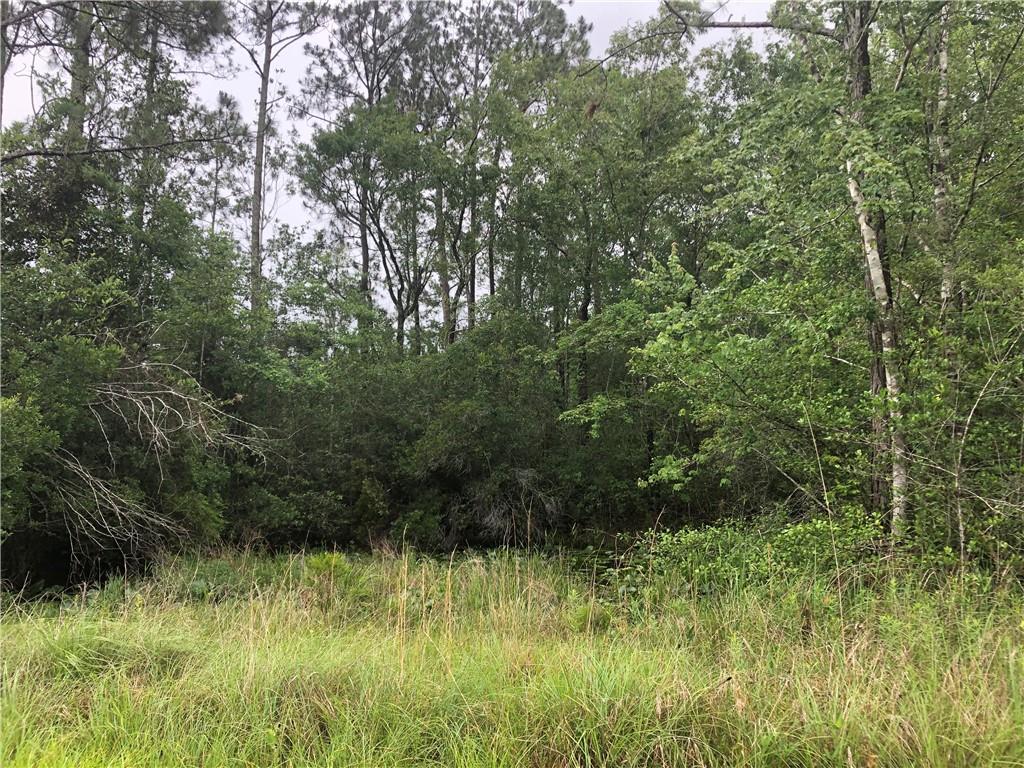 W Moran Road, Pearl River, Louisiana image 4