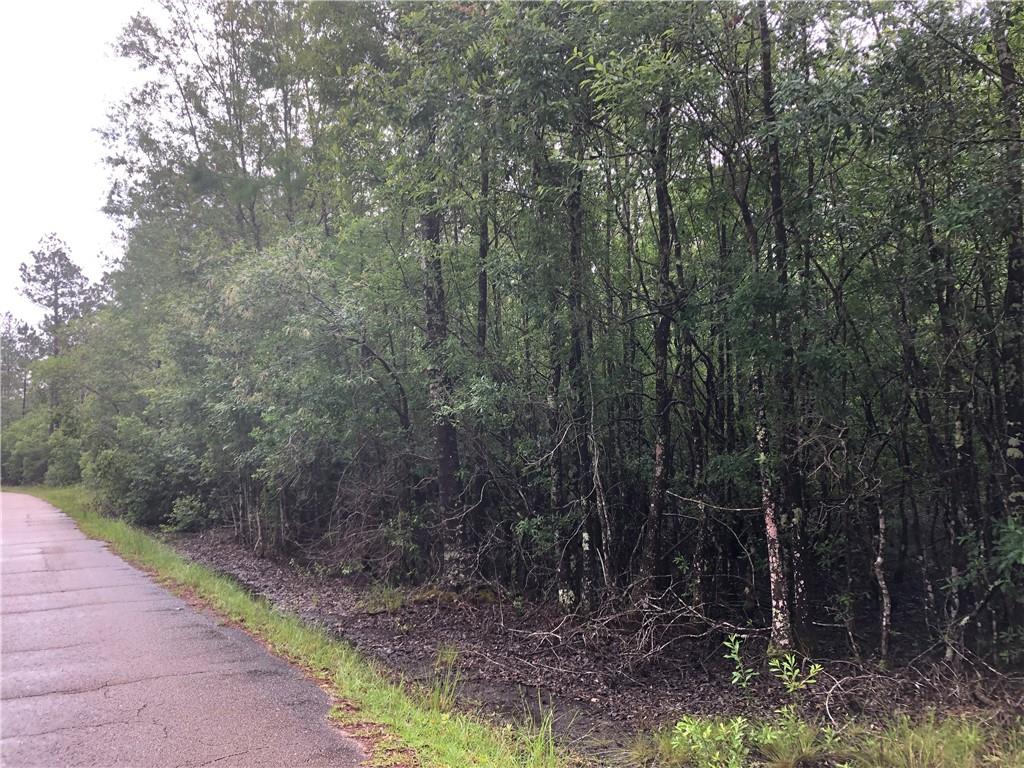 W Moran Road, Pearl River, Louisiana image 6