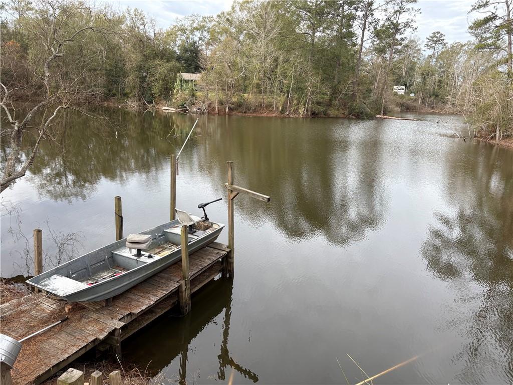 60181 Anderson Lane, Amite, Louisiana image 17