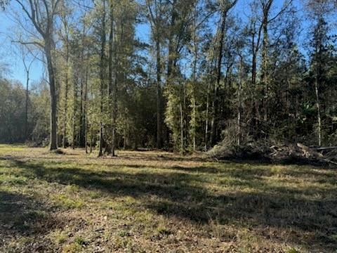 21490 Hwy 10 Highway, Kentwood, Louisiana image 4