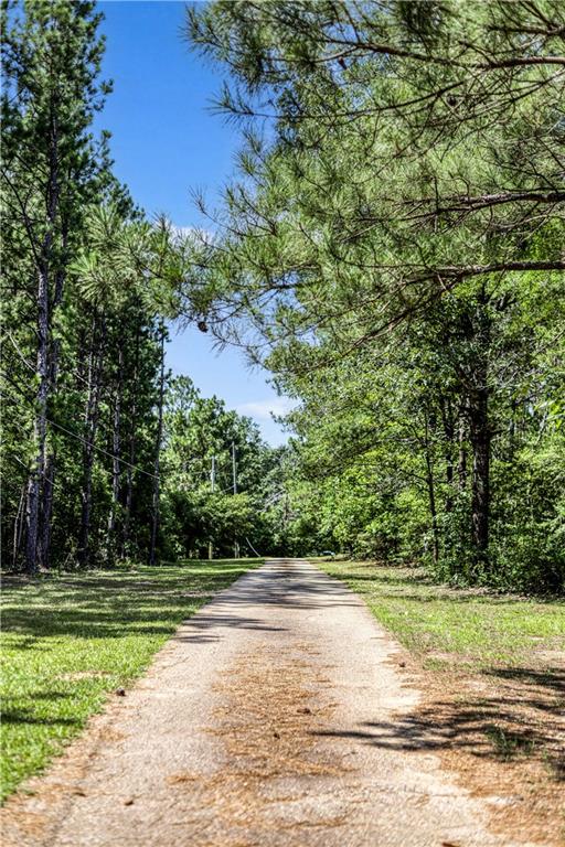 67388 Hickory Point Road, Kentwood, Louisiana image 3