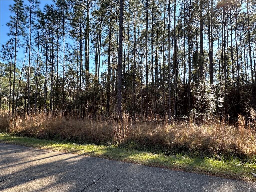 Lot 58 Quimet Drive, Abita Springs, Louisiana image 1