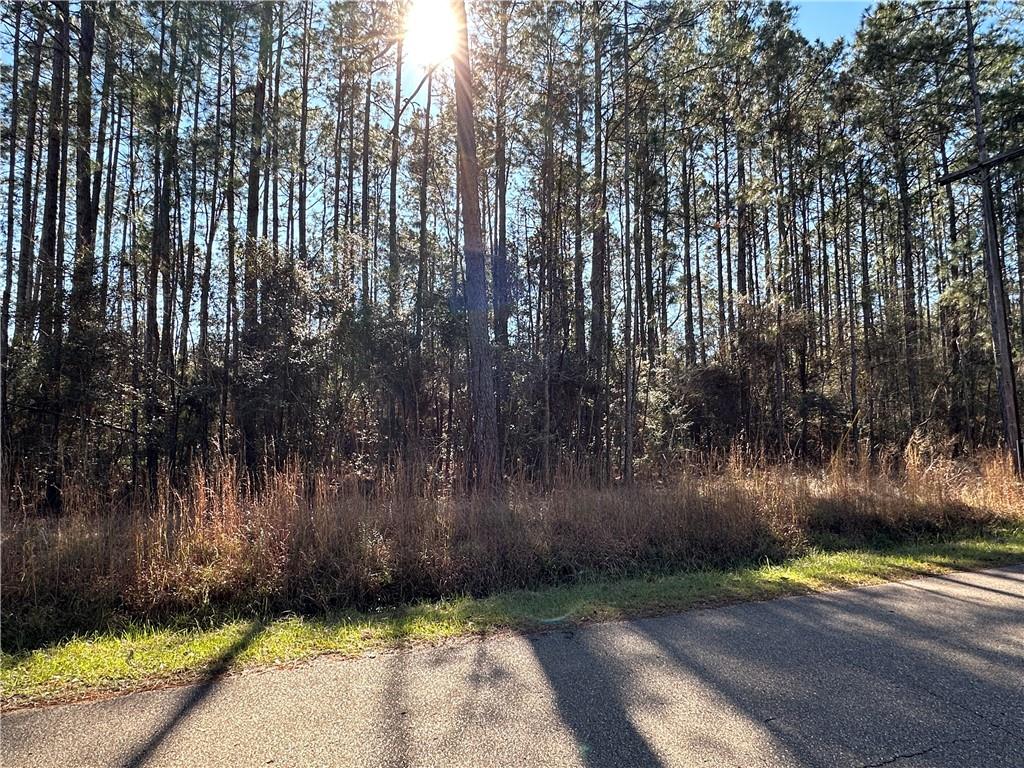 Lot 58 Quimet Drive, Abita Springs, Louisiana image 3