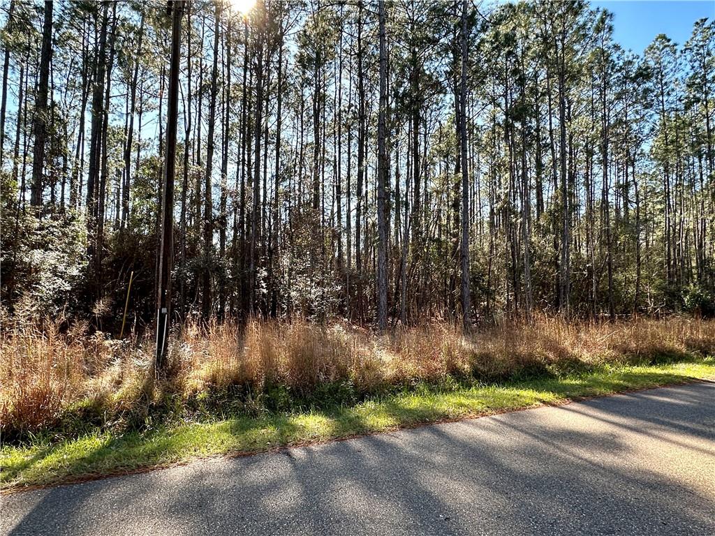 Lot 59 Quimet Drive, Abita Springs, Louisiana image 1