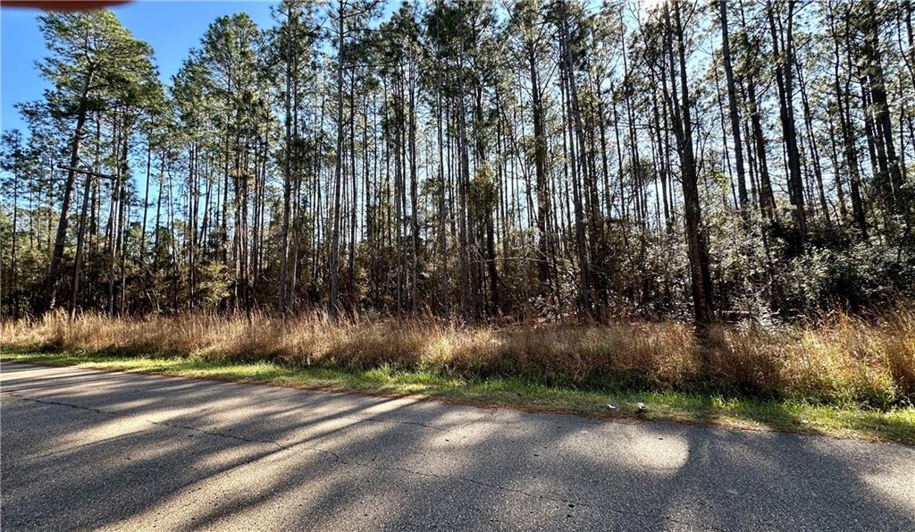 Lot 59 Quimet Drive, Abita Springs, Louisiana image 3