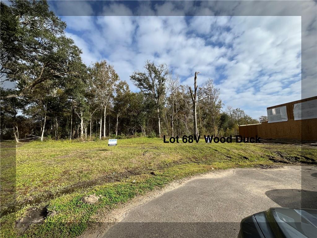 130 Wood Duck Drive, Belle Chasse, Louisiana image 1