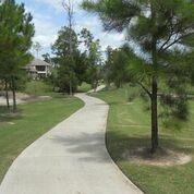 Grey Heron Lane, Madisonville, Louisiana image 9