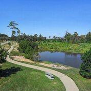 Audubon Parkway, Madisonville, Louisiana image 7