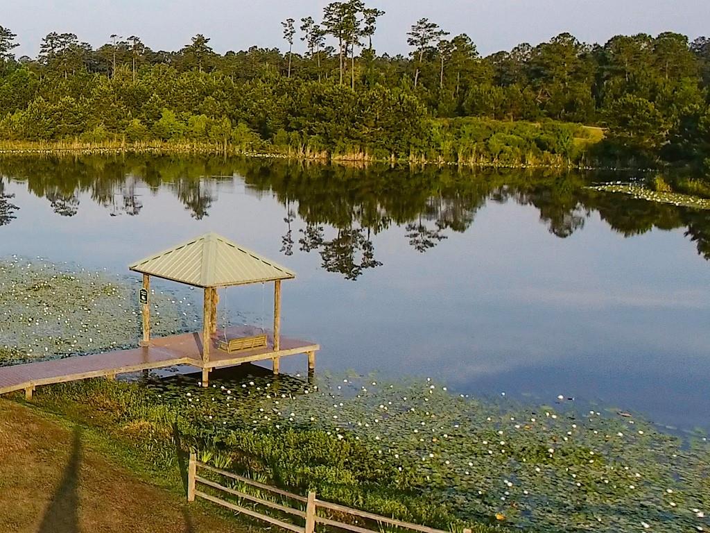 Audubon Parkway, Madisonville, Louisiana image 9