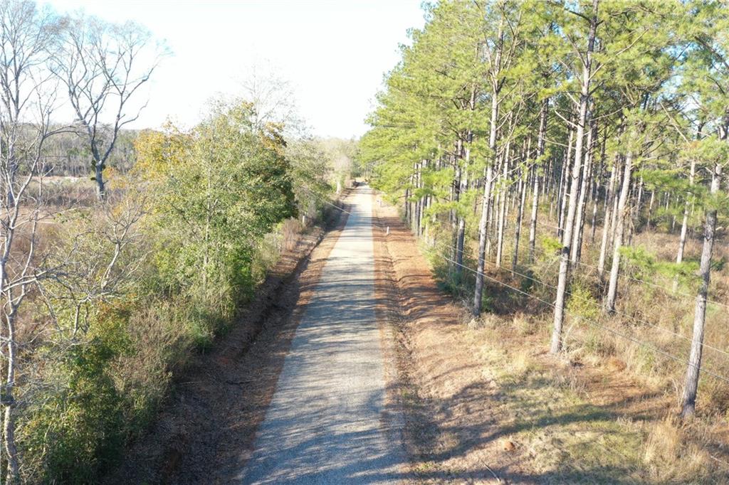 Monroe Stevens Rd Road, Kentwood, Louisiana image 1