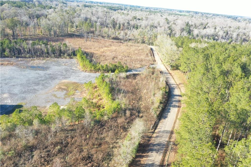 Monroe Stevens Rd Road, Kentwood, Louisiana image 11