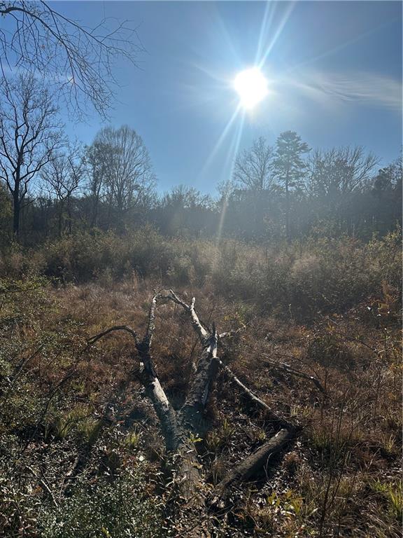 Monroe Stevens Rd Road, Kentwood, Louisiana image 19