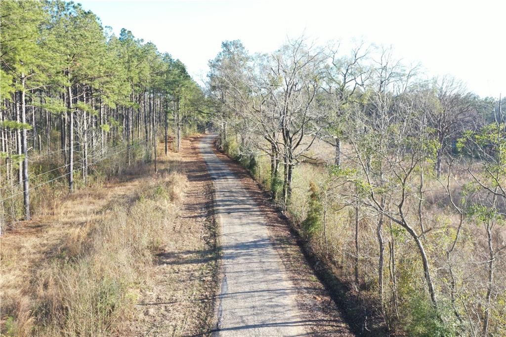 Monroe Stevens Rd Road, Kentwood, Louisiana image 29