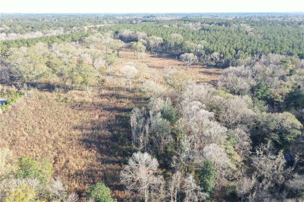 Monroe Stevens Rd Road, Kentwood, Louisiana image 33