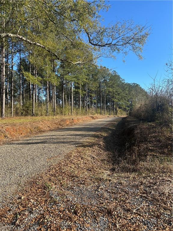 Monroe Stevens Rd Road, Kentwood, Louisiana image 4