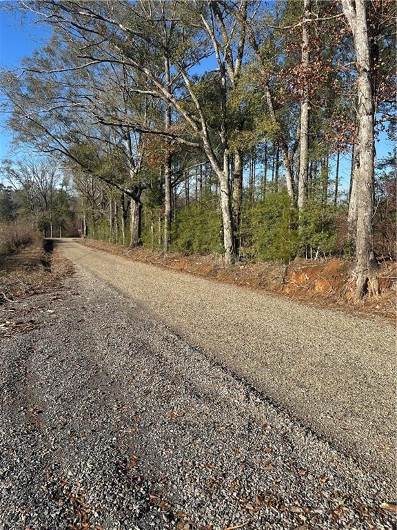 Monroe Stevens Rd Road, Kentwood, Louisiana image 6