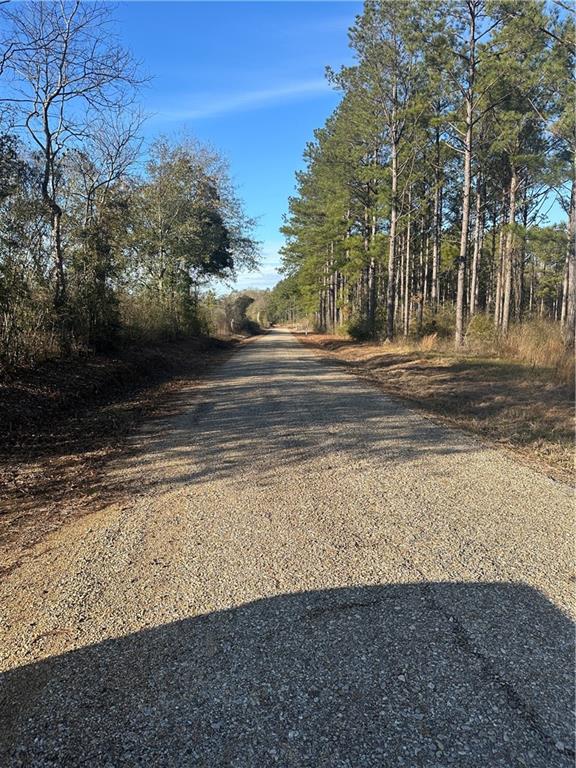 Monroe Stevens Rd Road, Kentwood, Louisiana image 8