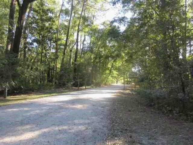 Whiskey Oaks Lane, Covington, Louisiana image 2