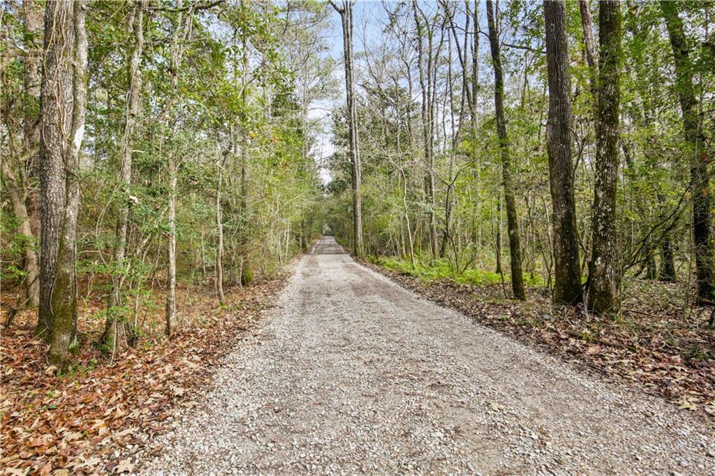 Lot 22 Holly Lane, Covington, Louisiana image 1