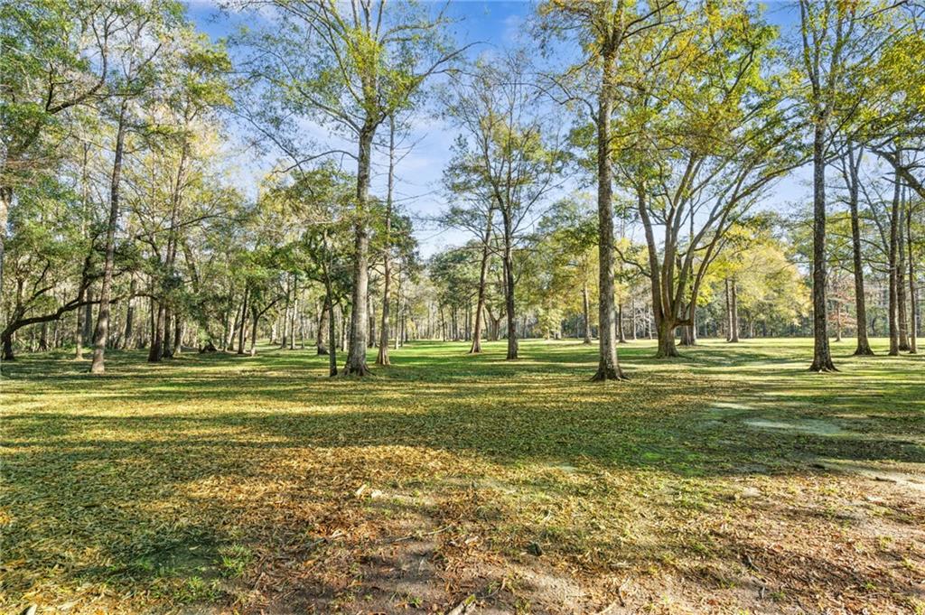 1645 Lotus Road, Mandeville, Louisiana image 31