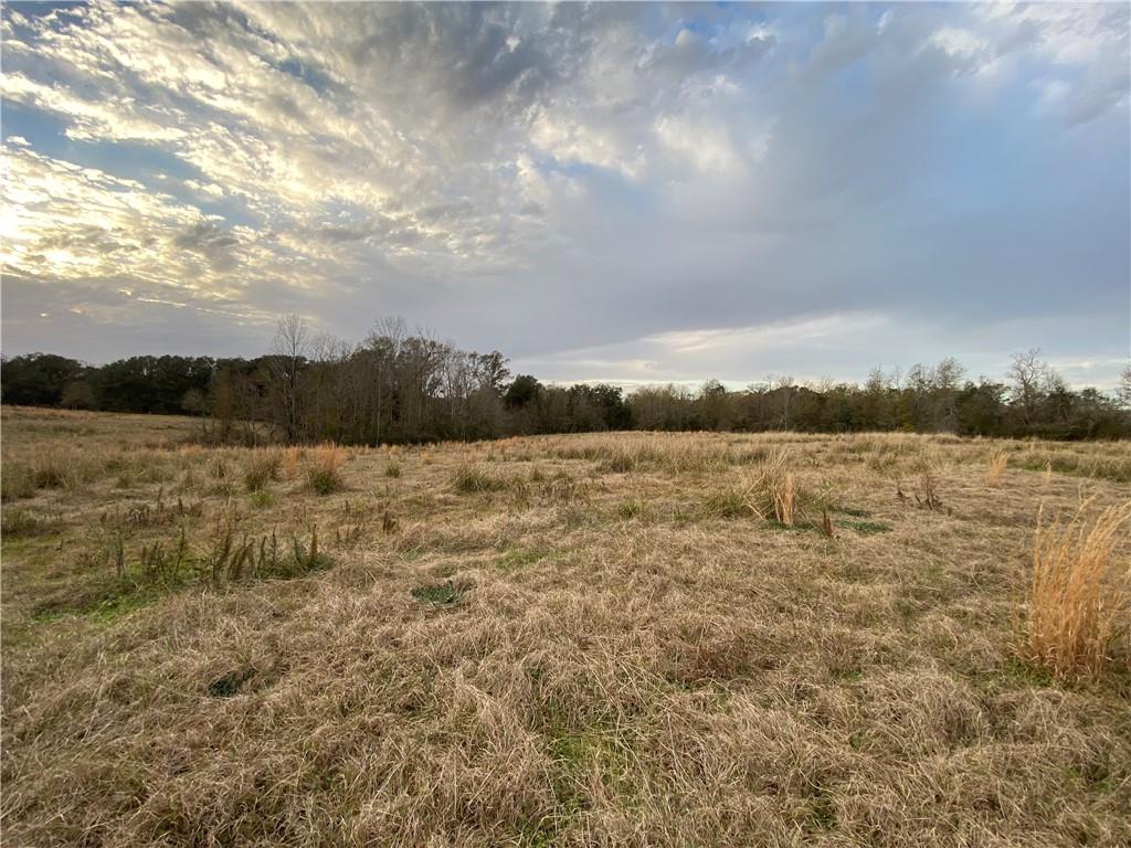 TBD Ruth Holton Road, Amite, Louisiana image 10