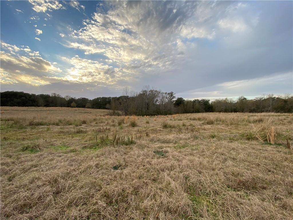 TBD Ruth Holton Road, Amite, Louisiana image 11