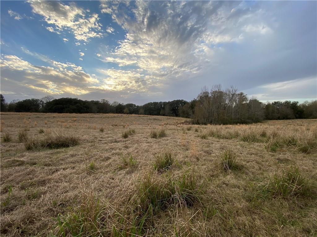 TBD Ruth Holton Road, Amite, Louisiana image 13