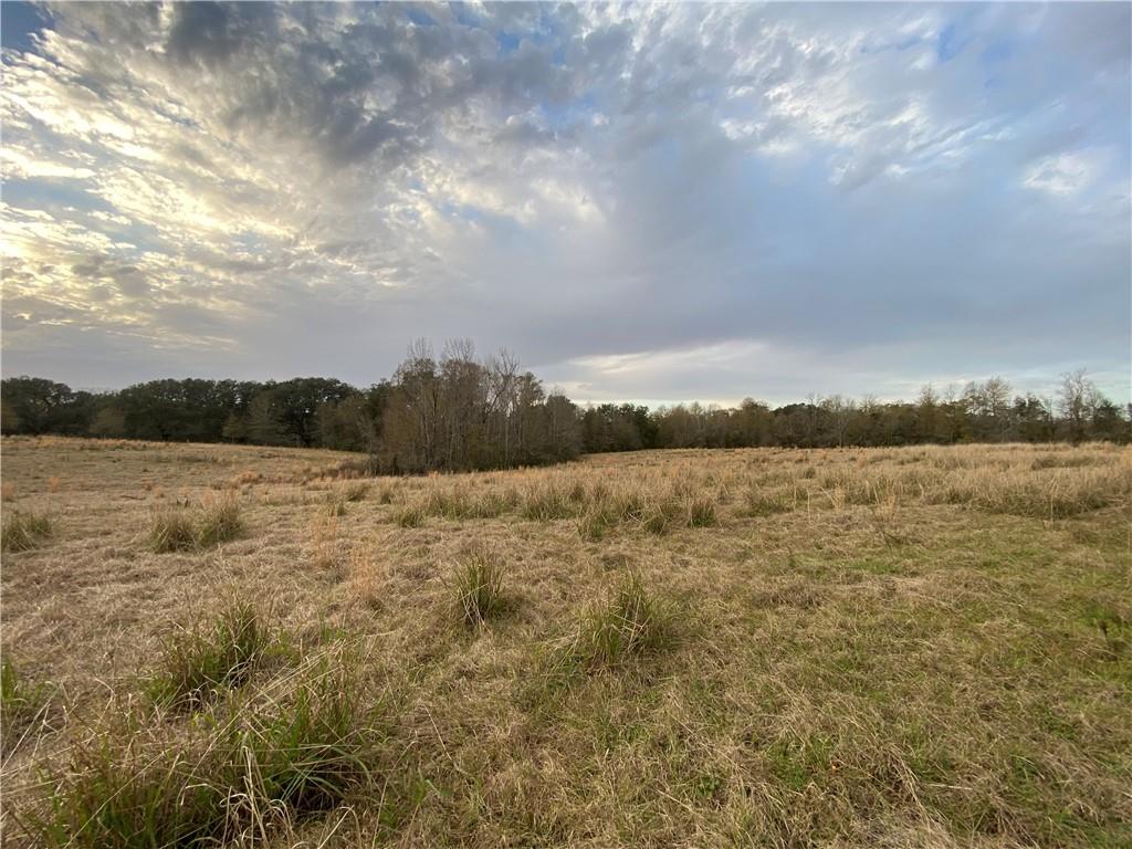 TBD Ruth Holton Road, Amite, Louisiana image 14