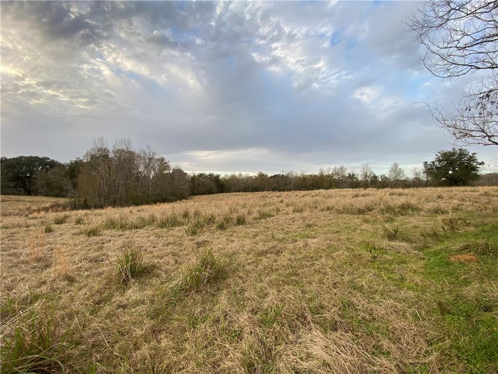 TBD Ruth Holton Road, Amite, Louisiana image 15