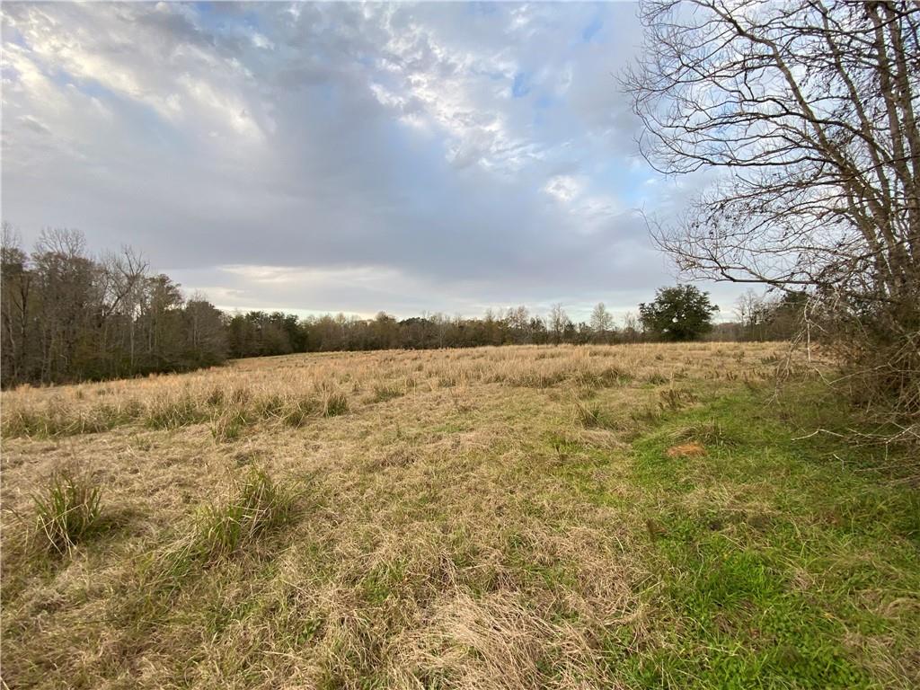 TBD Ruth Holton Road, Amite, Louisiana image 16