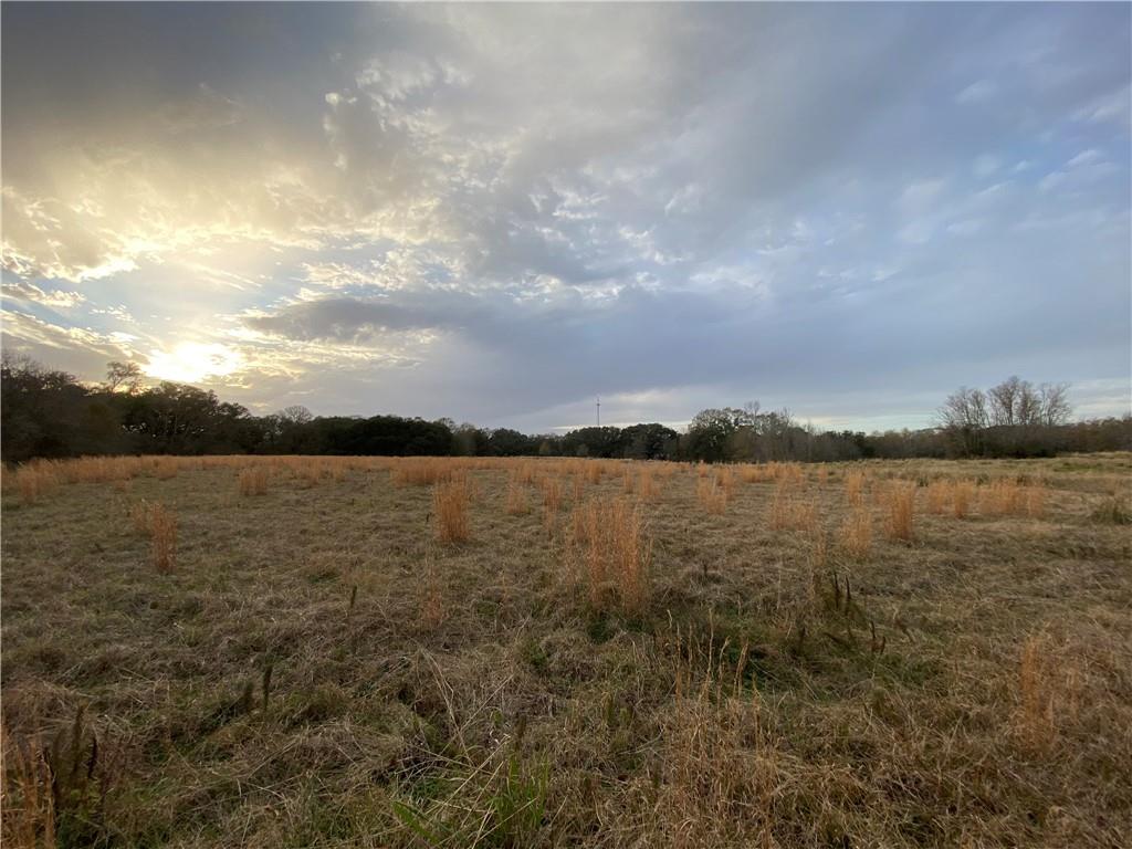 TBD Ruth Holton Road, Amite, Louisiana image 19