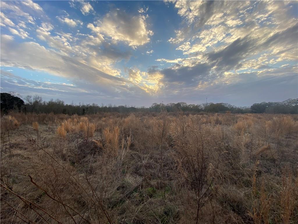 TBD Ruth Holton Road, Amite, Louisiana image 2