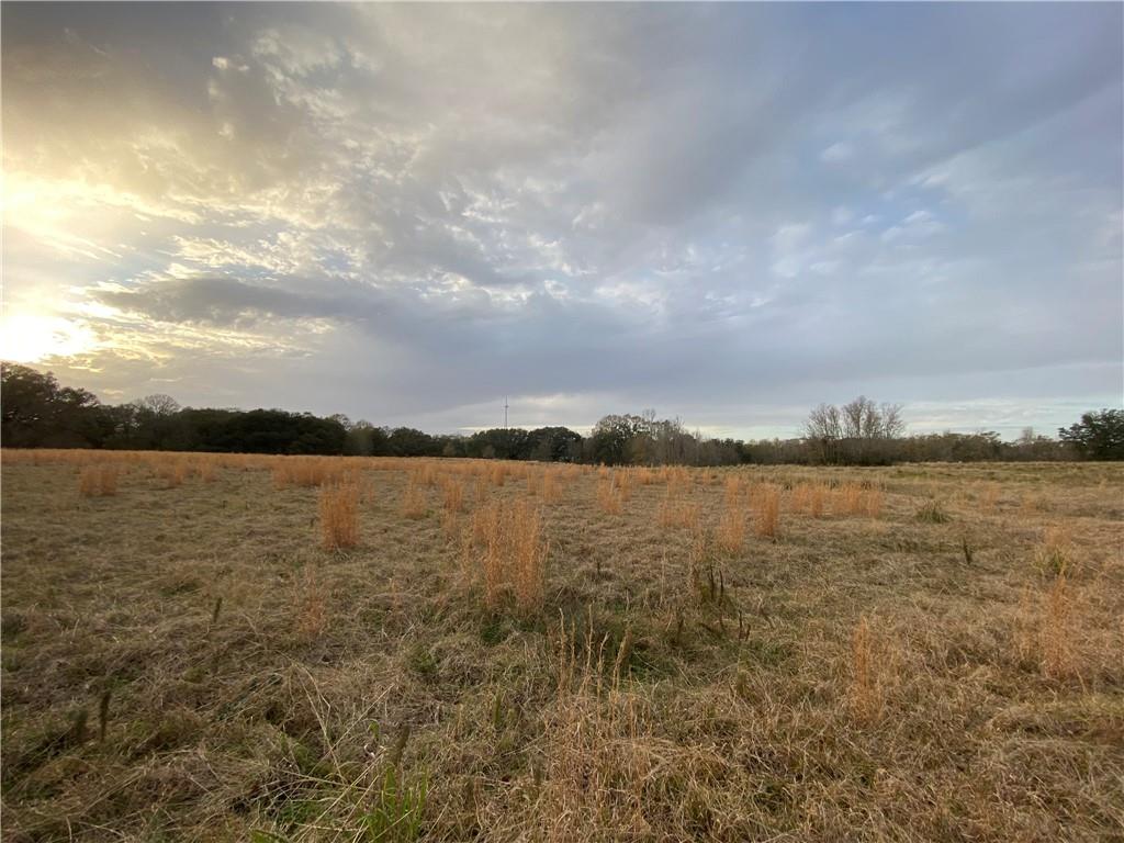 TBD Ruth Holton Road, Amite, Louisiana image 20