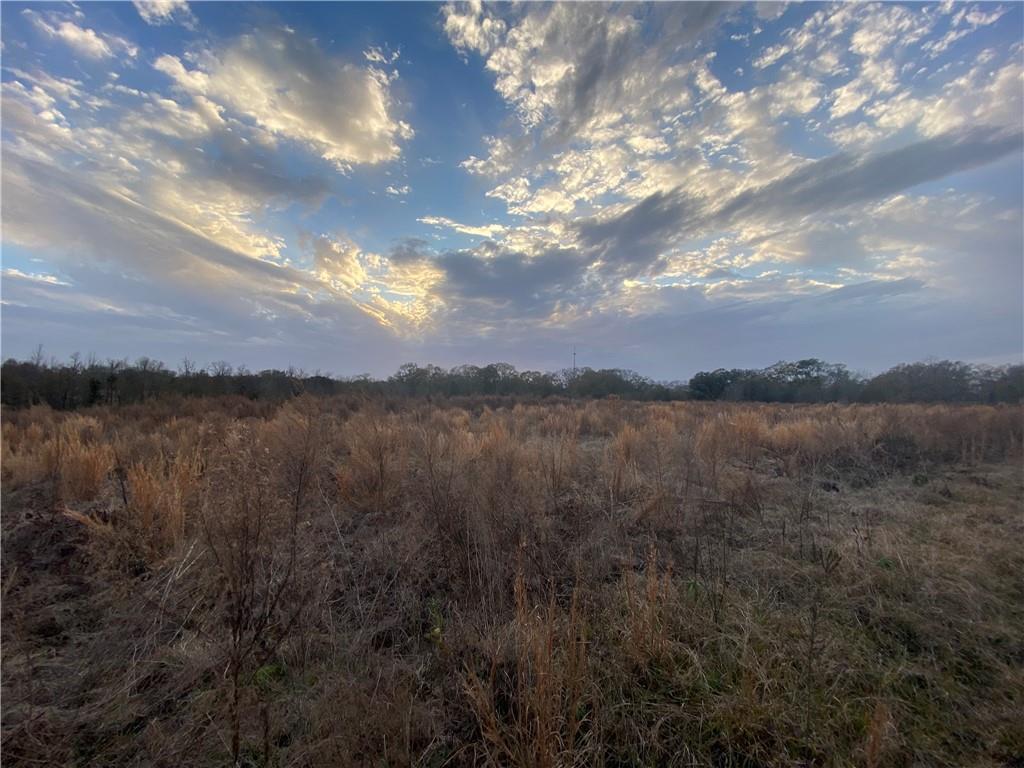 TBD Ruth Holton Road, Amite, Louisiana image 5