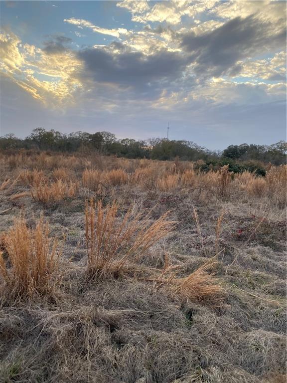 TBD Ruth Holton Road, Amite, Louisiana image 6