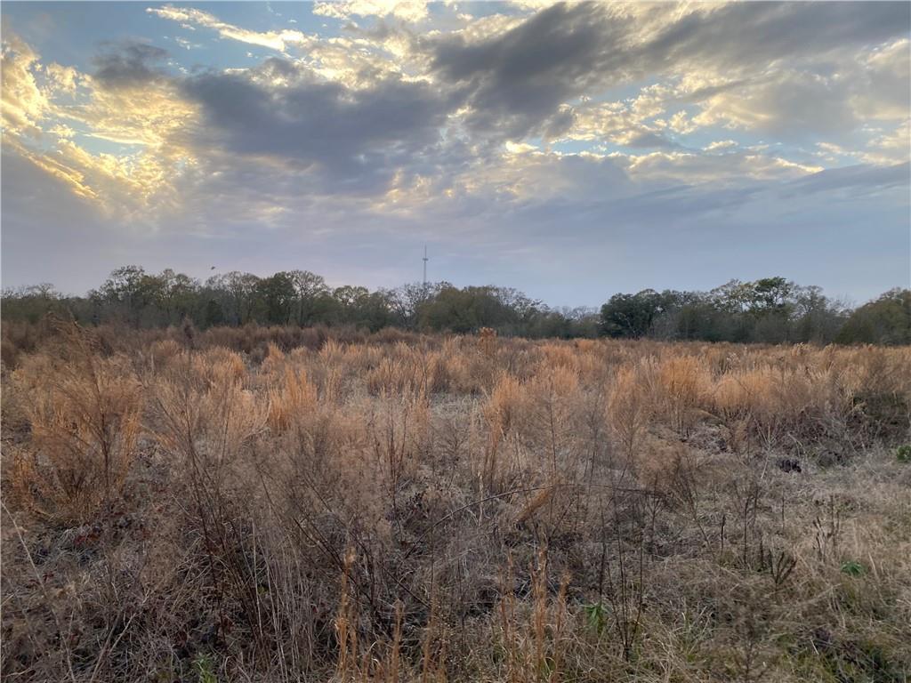 TBD Ruth Holton Road, Amite, Louisiana image 7