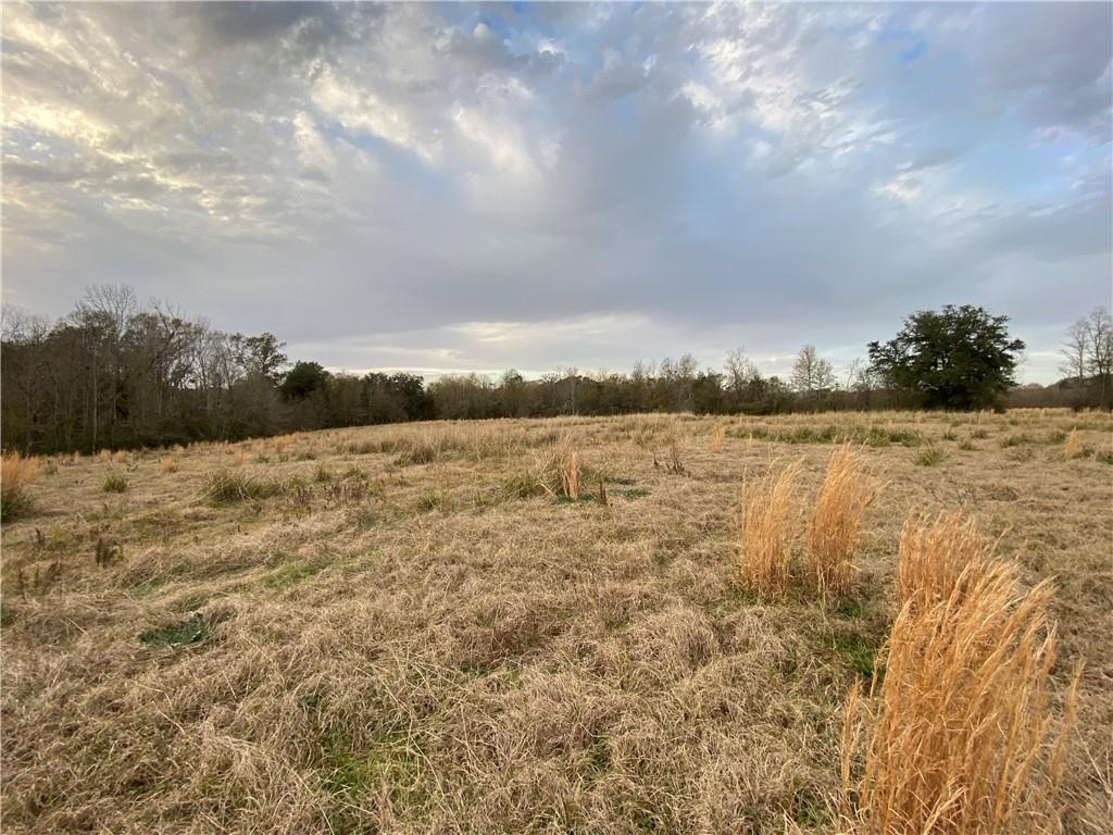 TBD Ruth Holton Road, Amite, Louisiana image 8