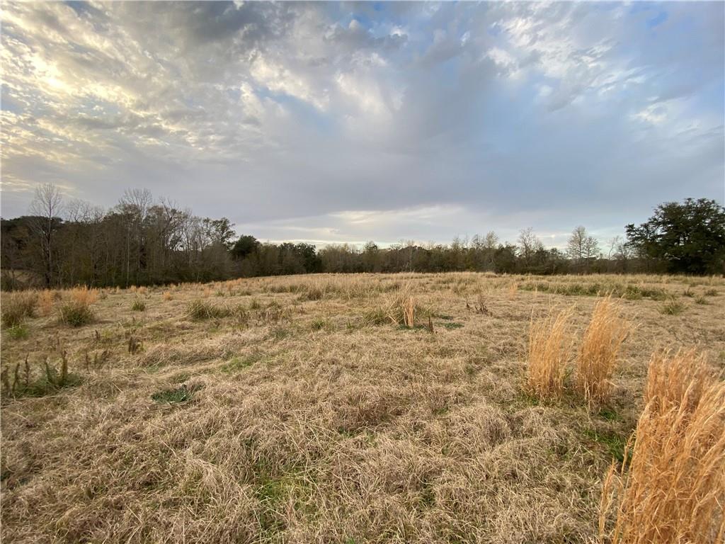 TBD Ruth Holton Road, Amite, Louisiana image 9