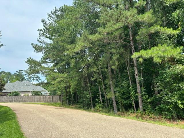 Arbor Court, Madisonville, Louisiana image 1