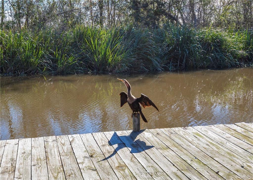 4142 Highway 90 Drive, Des Allemands, Louisiana image 46